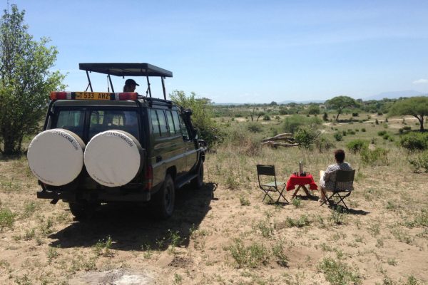 self-drive safaris Tanzania